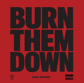 PRE SALE - BURN THEM DOWN 1/100 LIMITED PRESS VINYL SIGNED NUMBERED
